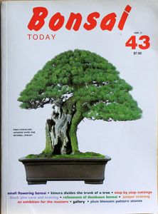 Bonsai today 43