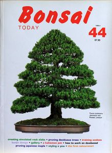 Bonsai today 44