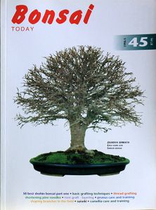 Bonsai today 45