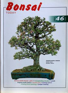 Bonsai today 46