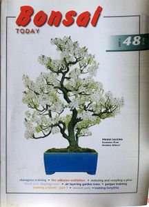 Bonsai today 48