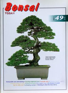 Bonsai today 49