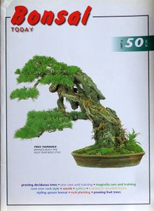 Bonsai today 50