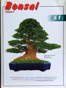 Bonsai today 51