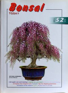 Bonsai today 52