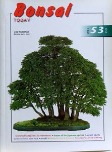 Bonsai today 53