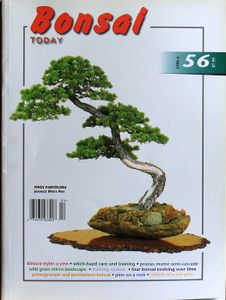 Bonsai today 56