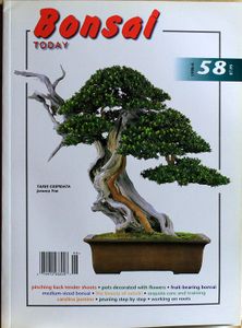 Bonsai today 58