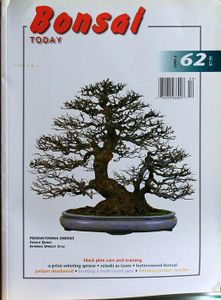 Bonsai today 62