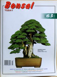 Bonsai today 63