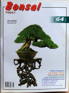 Bonsai today 64