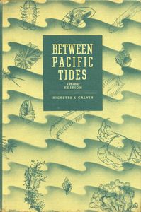 Between Pacific Tides