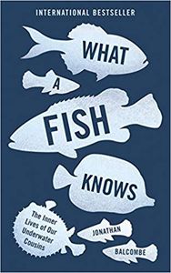 What a Fish Knows: The Inner Lives of Our Underwater Cousins