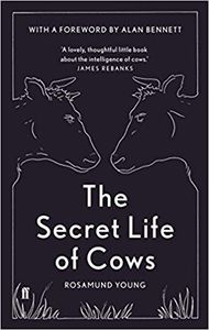 The Secret Life of Cows