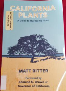 California Plants: A Guide to Our Iconic Flora
