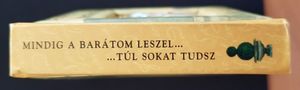 Mindig a barátom leszel... ...túl sokat tudsz