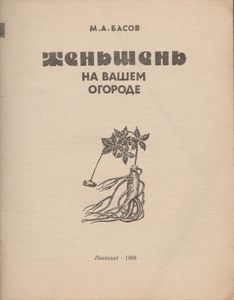 Женьшень На Вашем Огороде