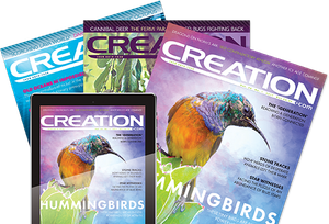 Creation