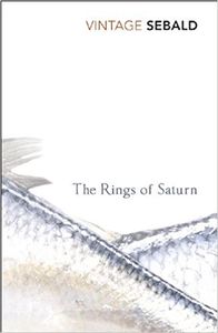 The Rings of Saturn