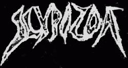Scypozoa