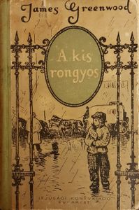 A kis rongyos