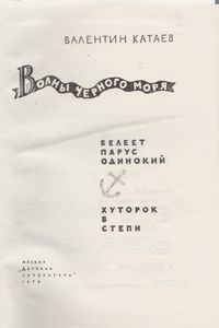 Волны Черного Моря