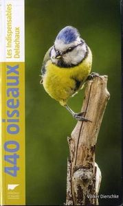 440 Oiseaux