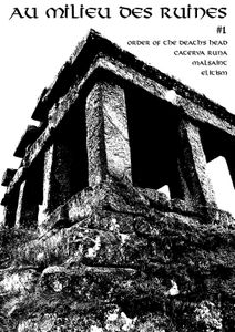 Au Milieu des Ruines