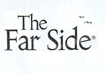 The Far Side