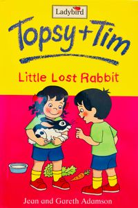 Little Lost Rabbit