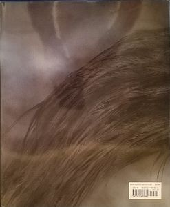 Fantastic Art: The Best of Luis Royo