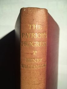 The Patriot's Progress