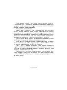 Шахматы. Основы теории