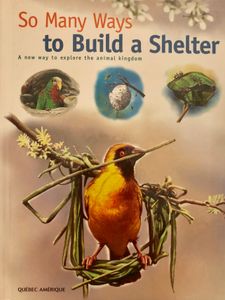 So Many Ways To Build a Shelter