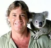 Steve Irwin