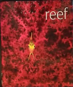 Reef