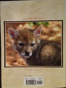 The Daily Coyote