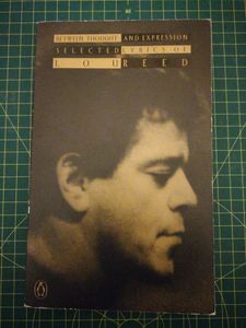 Between Thought and Expression: Selected Lyrics of Lou Reed
