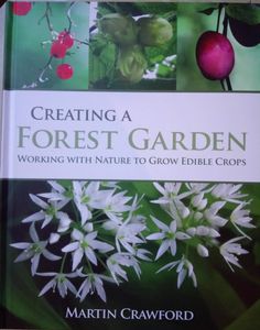 Creating A Forest Garden: Working With Nature To Grow Edible Crops