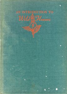 An Introduction to Wild Flowers