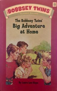 The Bobbsey Twins' Big Adventure at Home