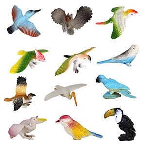 Ornithology