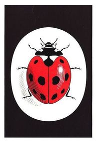 Ladybird Easy Reading Book