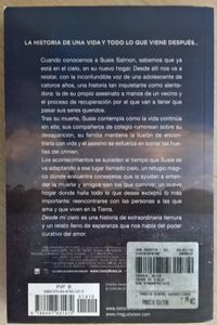 Desde Mi Cielo