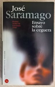 Ensayo Sobre La Ceguera