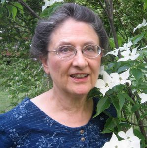 Mary A. Turzillo