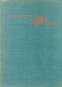 An Introduction to Trees