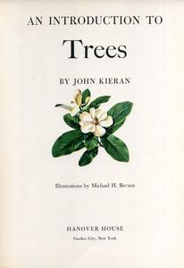 An Introduction to Trees