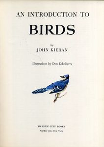 An Introduction to Birds