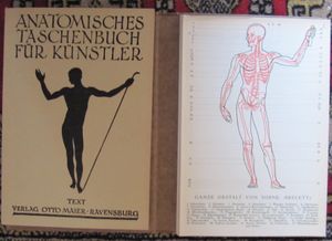 Anatomisches Taschenbuch für Künstler